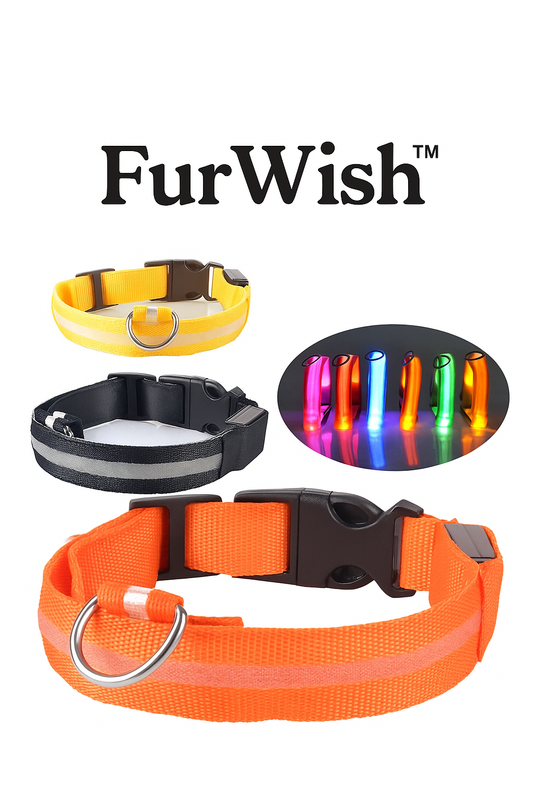 FurWish™ LED Dog Collar – USB Rechargeable Night Safety Necklace