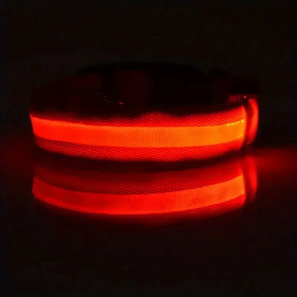 FurWish™ LED Dog Leash & Collar – Night-Safety Glow in the Dark