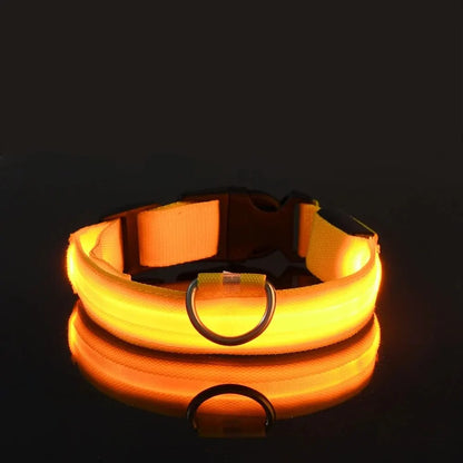 FurWish™ LED Dog Leash & Collar – Night-Safety Glow in the Dark
