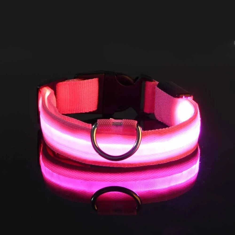 FurWish™ LED Dog Leash & Collar – Night-Safety Glow in the Dark