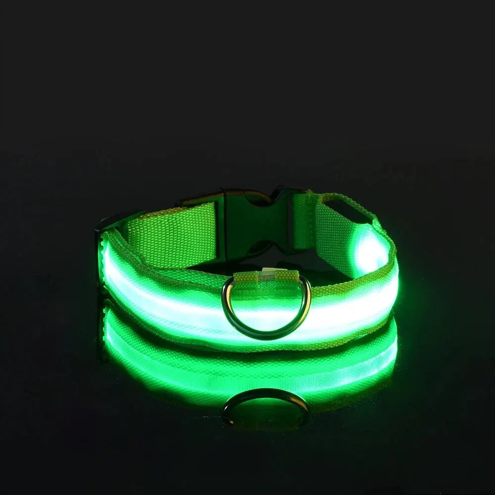 FurWish™ LED Dog Leash & Collar – Night-Safety Glow in the Dark