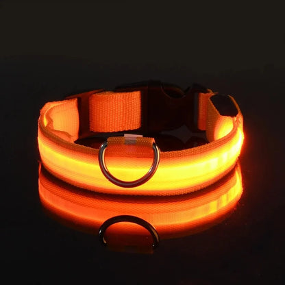 FurWish™ LED Dog Leash & Collar – Night-Safety Glow in the Dark