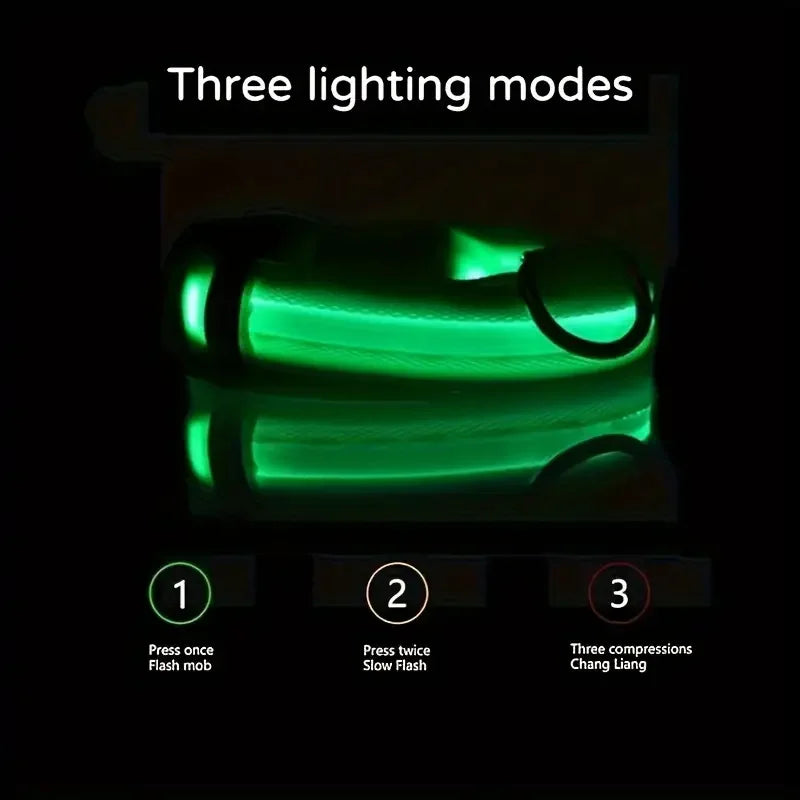 FurWish™ LED Dog Leash & Collar – Night-Safety Glow in the Dark