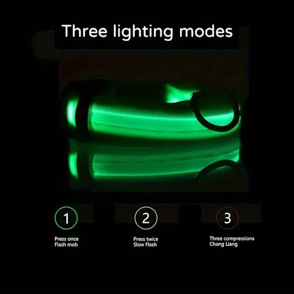 FurWish™ LED Dog Leash & Collar – Night-Safety Glow in the Dark