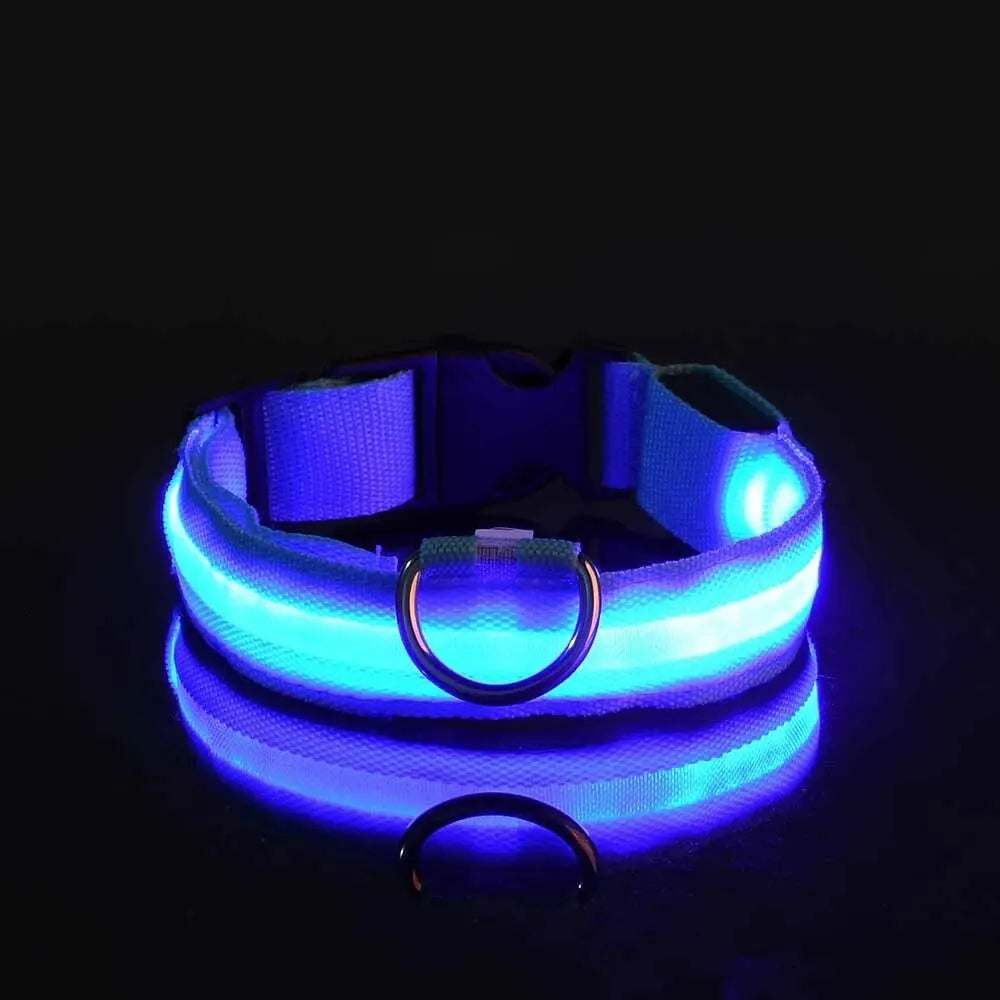 FurWish™ LED Dog Leash & Collar – Night-Safety Glow in the Dark