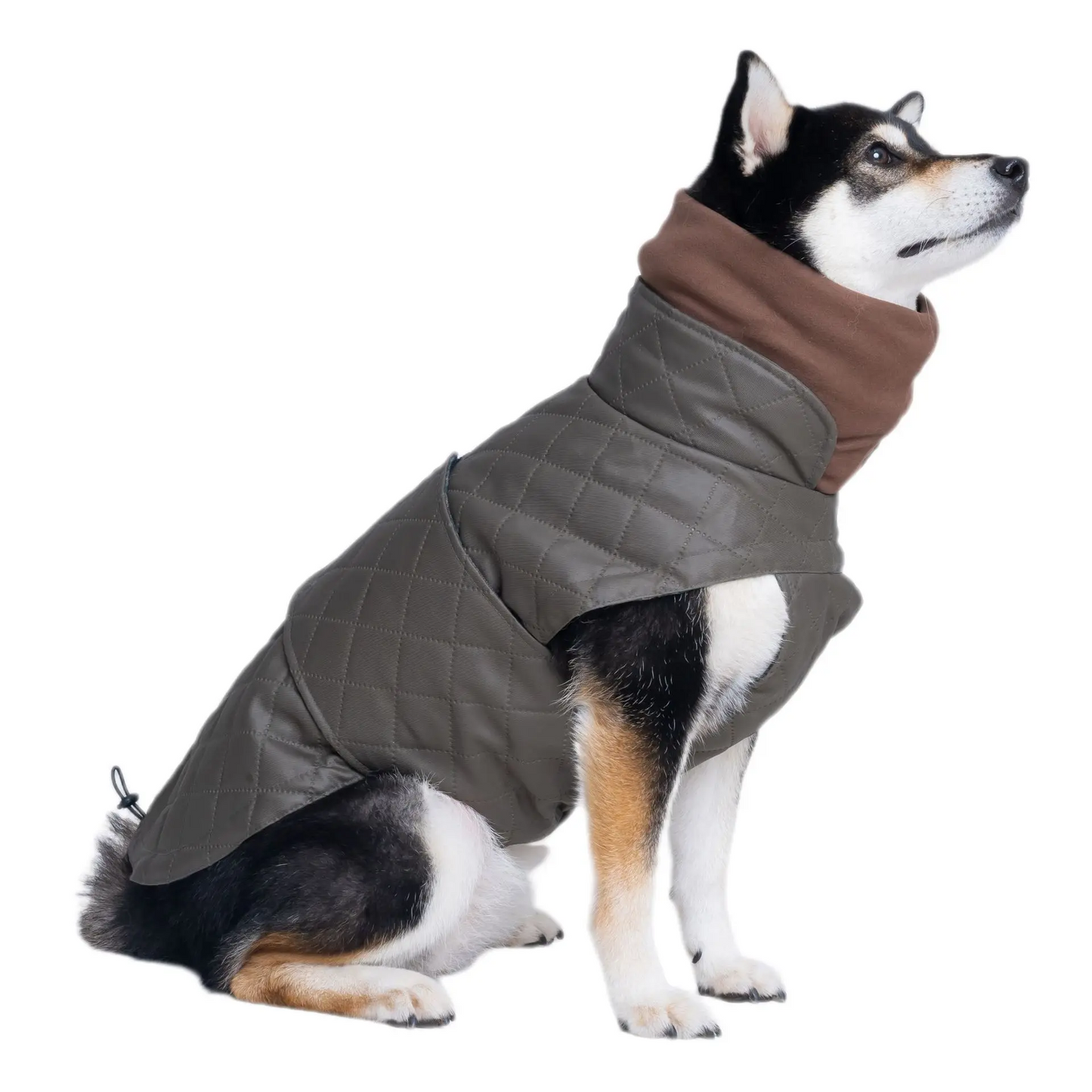 FurWish™ Quilted Dog Jacket – Warm Winter Coat with Turtleneck