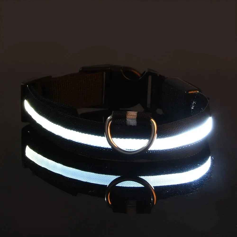 FurWish™ LED Dog Leash & Collar – Night-Safety Glow in the Dark