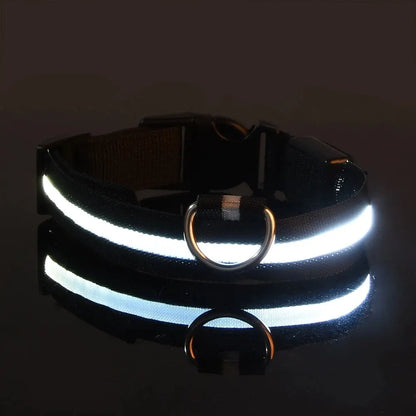 FurWish™ LED Dog Leash & Collar – Night-Safety Glow in the Dark