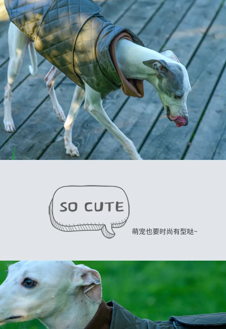 FurWish™ Quilted Dog Jacket – Warm Winter Coat with Turtleneck