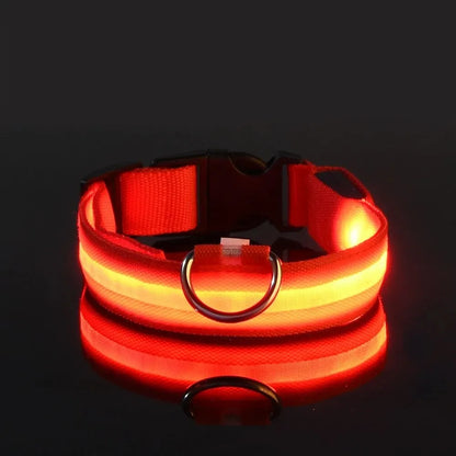 FurWish™ LED Dog Leash & Collar – Night-Safety Glow in the Dark