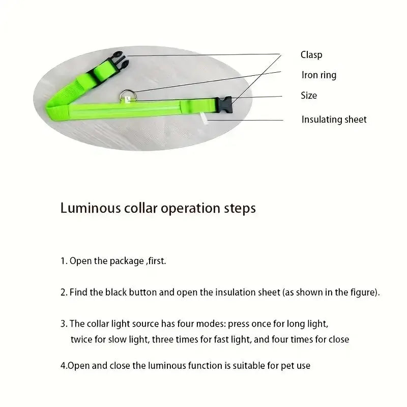 FurWish™ LED Dog Leash & Collar – Night-Safety Glow in the Dark