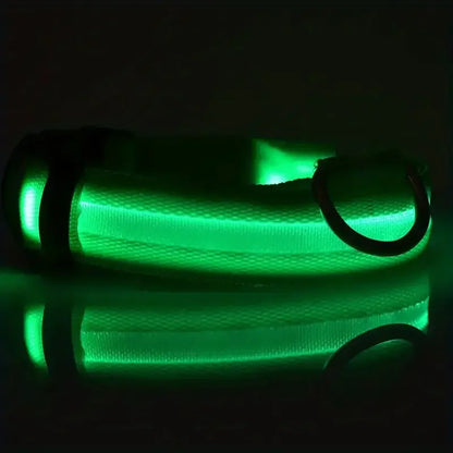 FurWish™ LED Dog Leash & Collar – Night-Safety Glow in the Dark