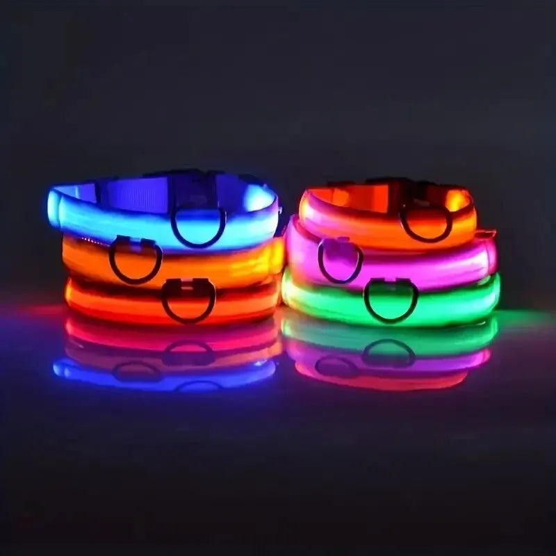 FurWish™ LED Dog Leash & Collar – Night-Safety Glow in the Dark