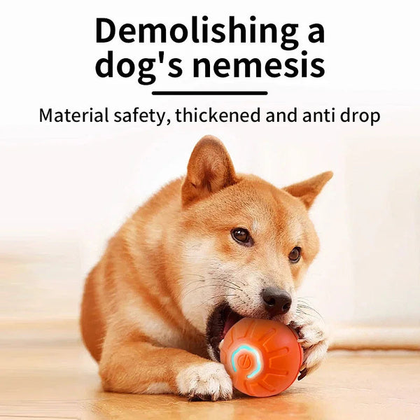 FurWish Smart Play Ball