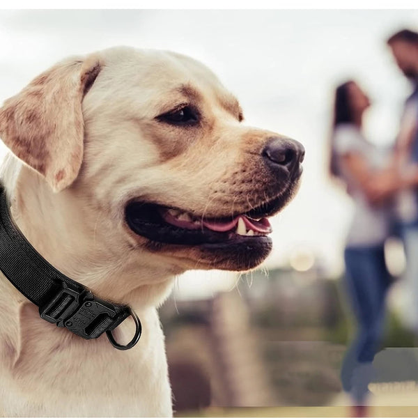 RuggedField Tactical Dog Control Gear