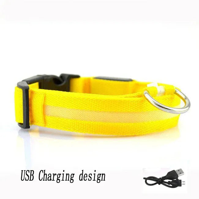 FurWish™ LED Dog Collar – USB Rechargeable Night Safety Necklace