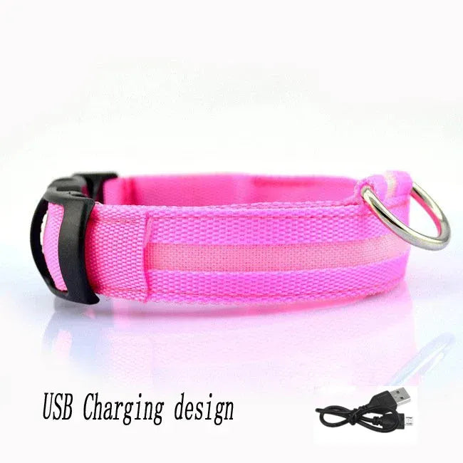 FurWish™ LED Dog Collar – USB Rechargeable Night Safety Necklace