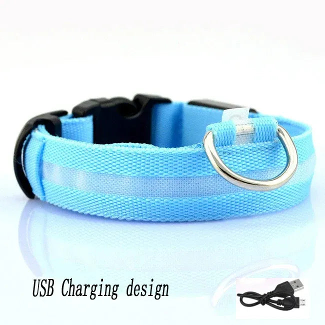 FurWish™ LED Dog Collar – USB Rechargeable Night Safety Necklace