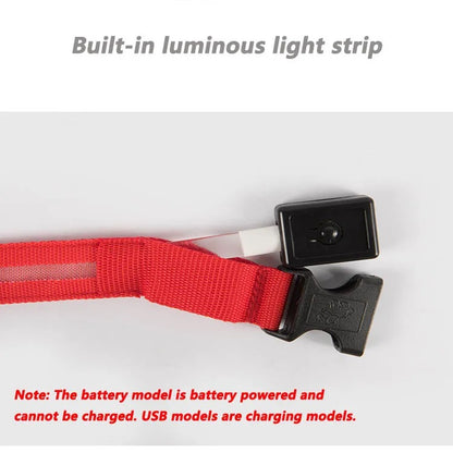 FurWish™ LED Dog Collar – USB Rechargeable Night Safety Necklace