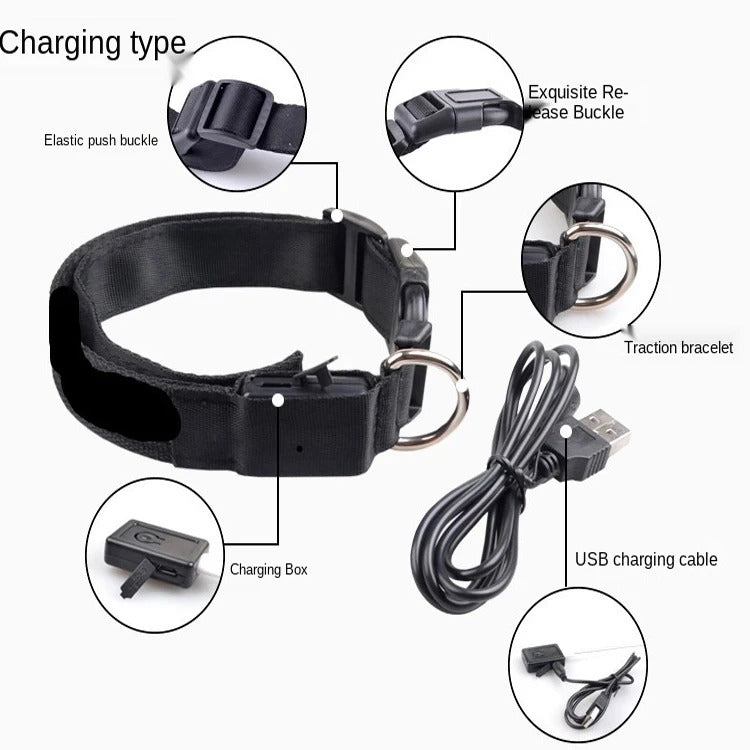 FurWish™ LED Dog Collar – USB Rechargeable Night Safety Necklace