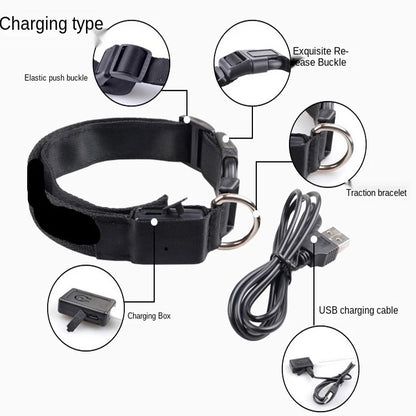 FurWish™ LED Dog Collar – USB Rechargeable Night Safety Necklace