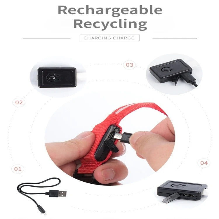 FurWish™ LED Dog Collar – USB Rechargeable Night Safety Necklace