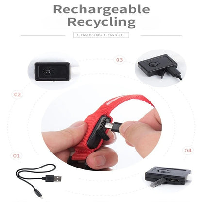 FurWish™ LED Dog Collar – USB Rechargeable Night Safety Necklace