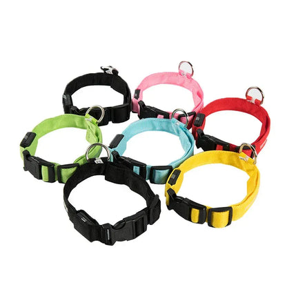 FurWish™ LED Dog Collar – USB Rechargeable Night Safety Necklace