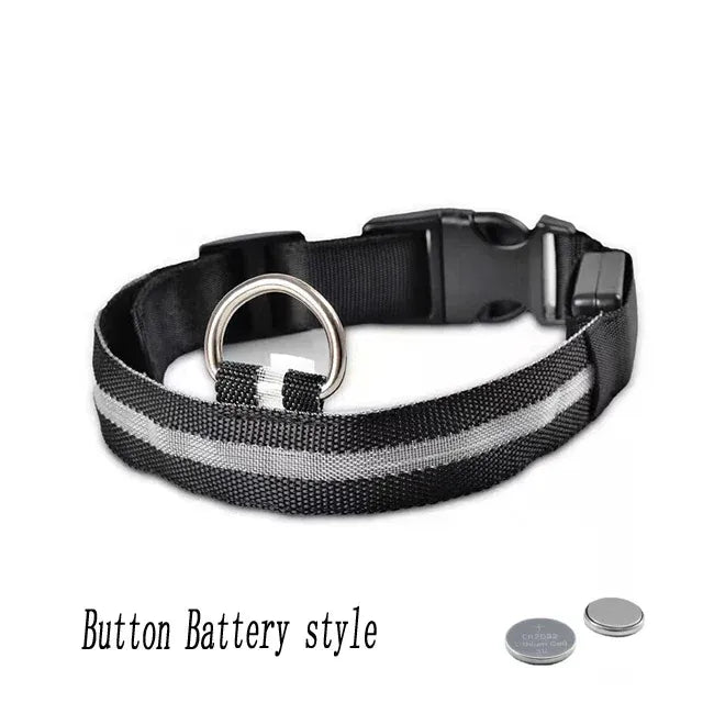 FurWish™ LED Dog Collar – USB Rechargeable Night Safety Necklace