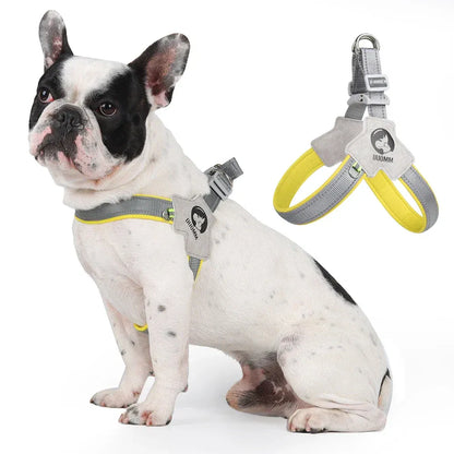 FurWish™ Reflective Y-Shaped Dog Harness – Comfortable Chest Strap with D-Ring
