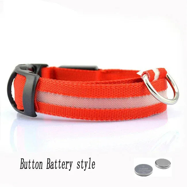 FurWish™ LED Dog Collar – USB Rechargeable Night Safety Necklace