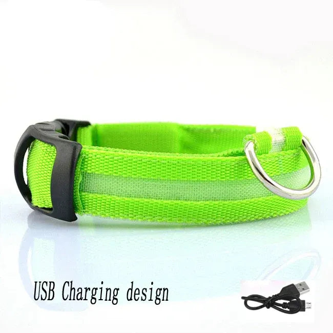 FurWish™ LED Dog Collar – USB Rechargeable Night Safety Necklace