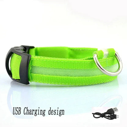 FurWish™ LED Dog Collar – USB Rechargeable Night Safety Necklace