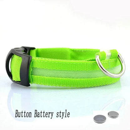 FurWish™ LED Dog Collar – USB Rechargeable Night Safety Necklace