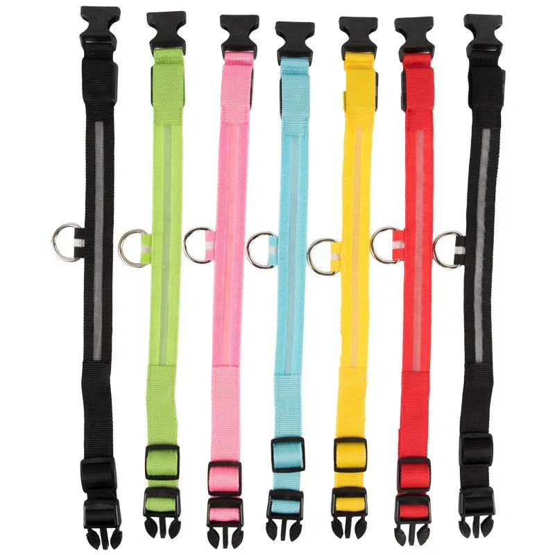 FurWish™ LED Dog Collar – USB Rechargeable Night Safety Necklace