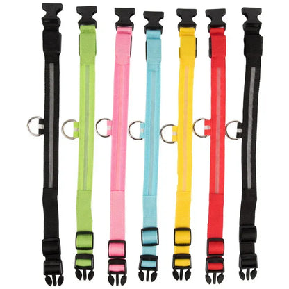 FurWish™ LED Dog Collar – USB Rechargeable Night Safety Necklace