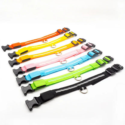 FurWish™ LED Dog Collar – USB Rechargeable Night Safety Necklace