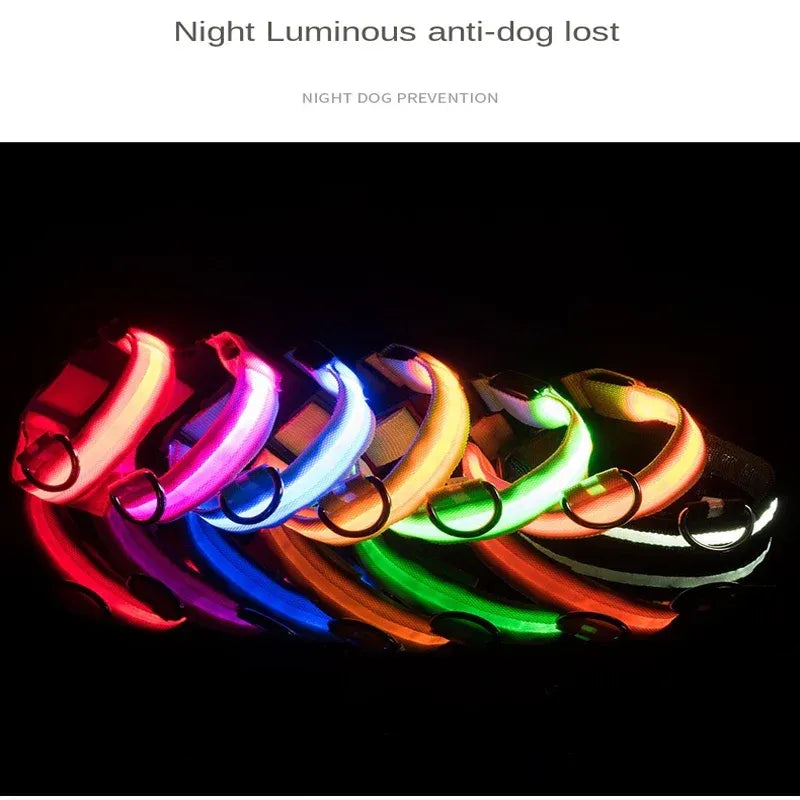 FurWish™ LED Dog Collar – USB Rechargeable Night Safety Necklace