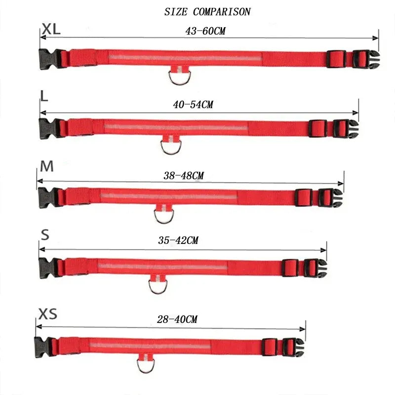 FurWish™ LED Dog Collar – USB Rechargeable Night Safety Necklace