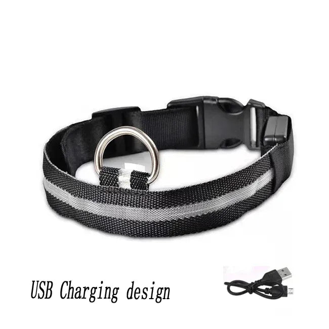 FurWish™ LED Dog Collar – USB Rechargeable Night Safety Necklace